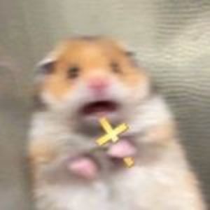 Meet your Posher, Allysa